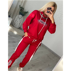 Спортивный костюм купить маркетплейс модель:1209н